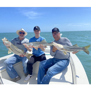 Week of March 18: Snook are hit-or-miss, but the fishing is heating up -  Sebastian Inlet District